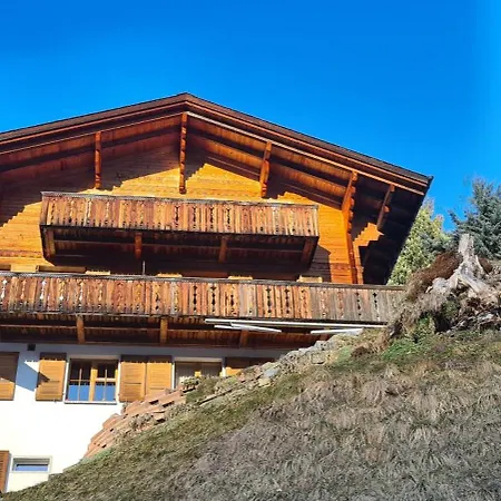 Am Bluemewaeg 7 * Wengen