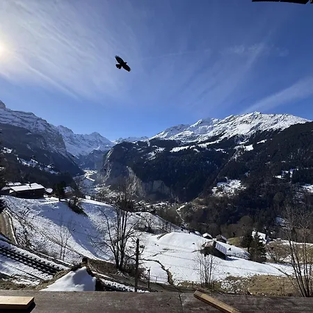 Am Bluemewaeg 7 Apartment Wengen