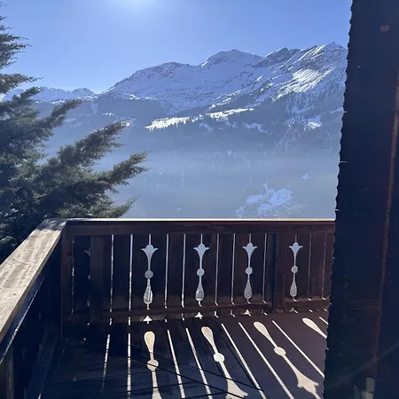 Am Bluemewaeg 7 * Wengen