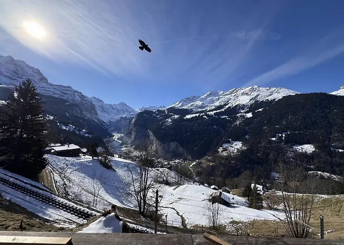 Am Bluemewaeg 7 Apartamento Wengen